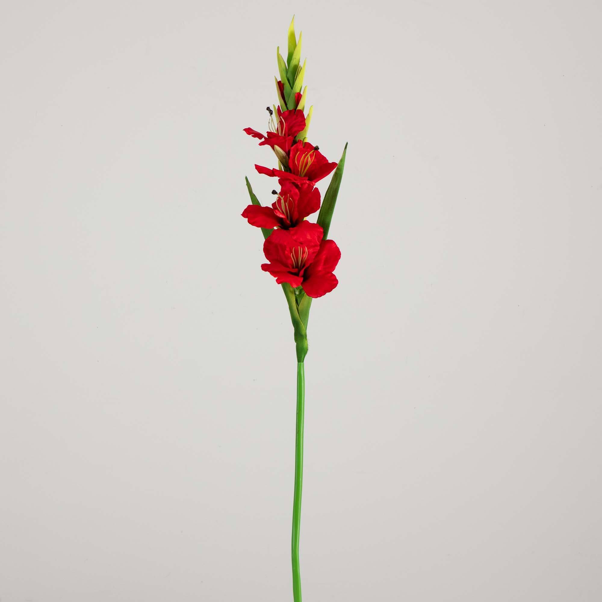 45" Red Gladiolus Flower Stems, 3ct.